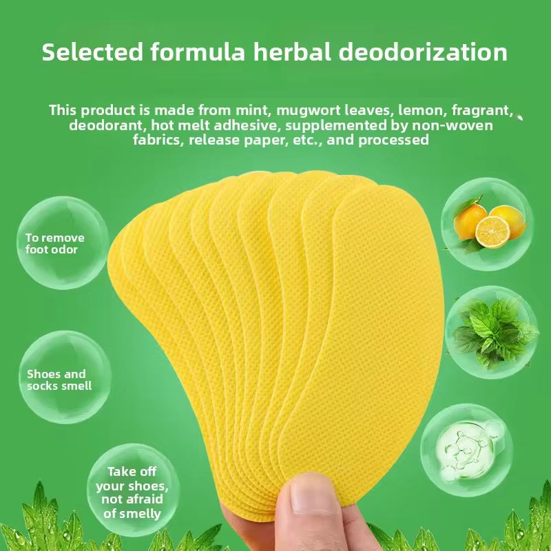 Imported Shoe Deodorant - 30 Pieces / 3 Packs